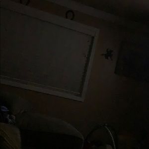 Meet your Posher, Daisy